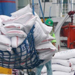 RICE-IMPORTS-FILEFOTO